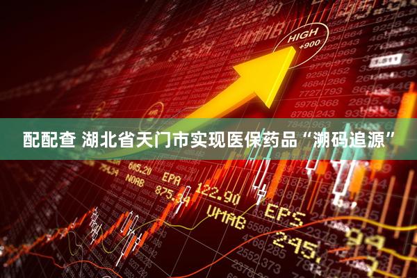 配配查 湖北省天门市实现医保药品“溯码追源”
