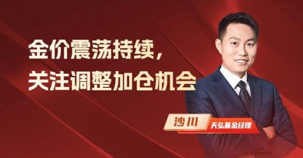 传金所配资 国际金价震荡持续，关注调整加仓机会