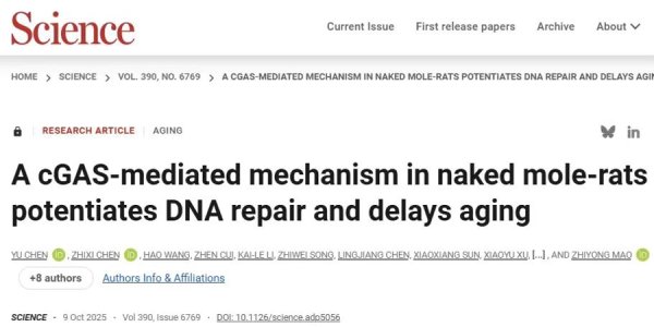 优配物料 抗衰老有新靶点？全球AI如何治理？同济大学两项研究成果齐发Science