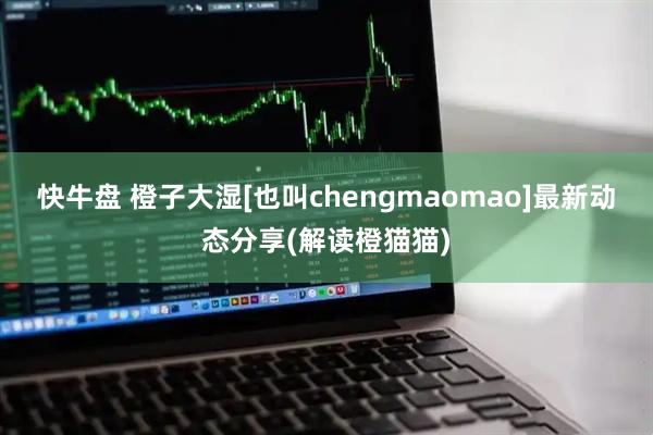 快牛盘 橙子大湿[也叫chengmaomao]最新动态分享(解读橙猫猫)