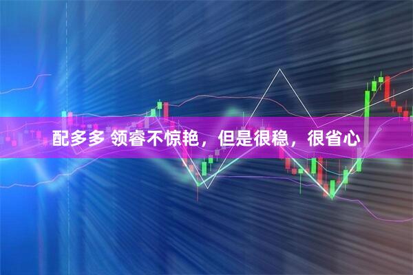 配多多 领睿不惊艳，但是很稳，很省心